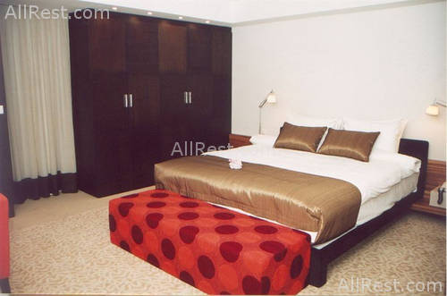 Hotel Dedeman Ankara 4